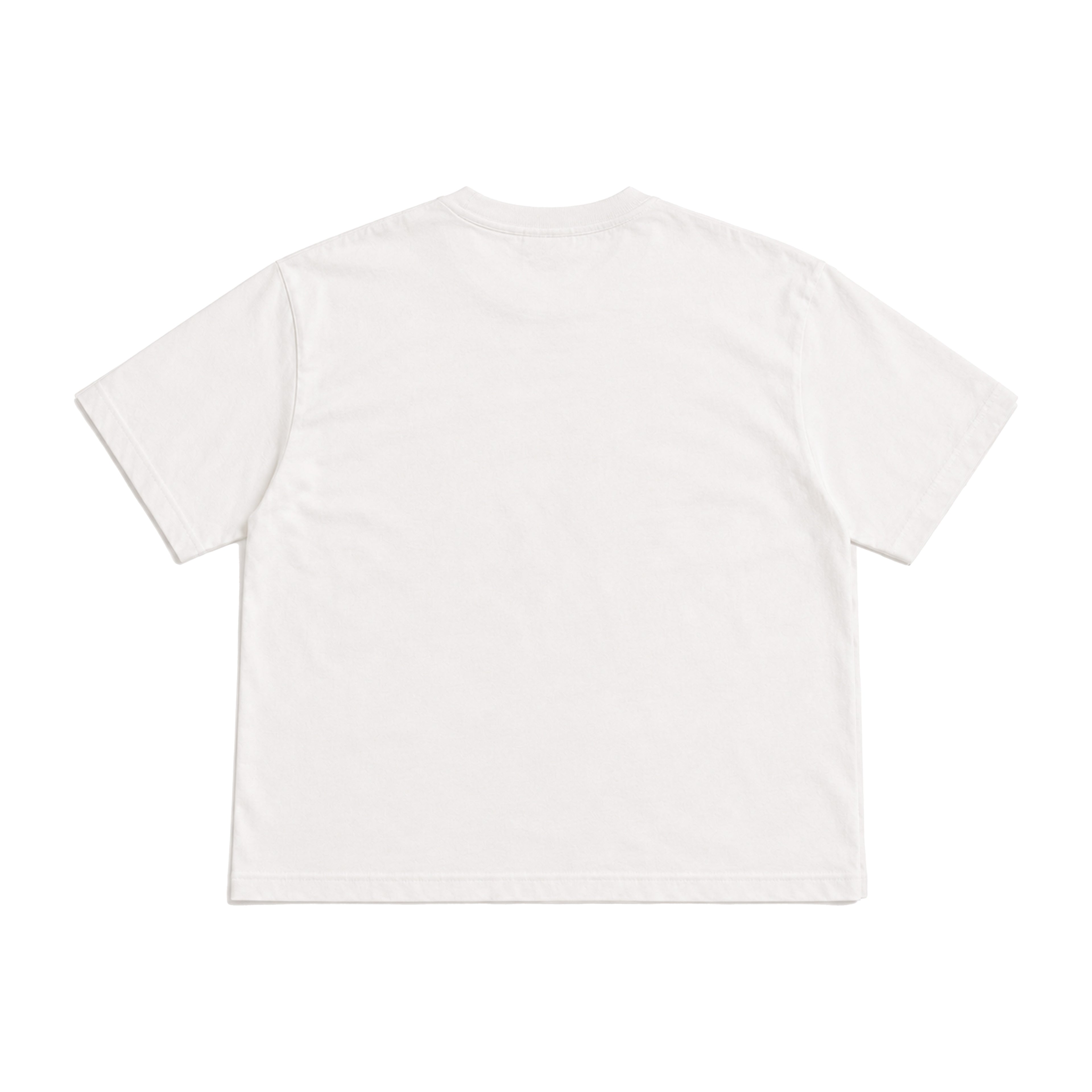 Sahara white T-shirt – plain back view