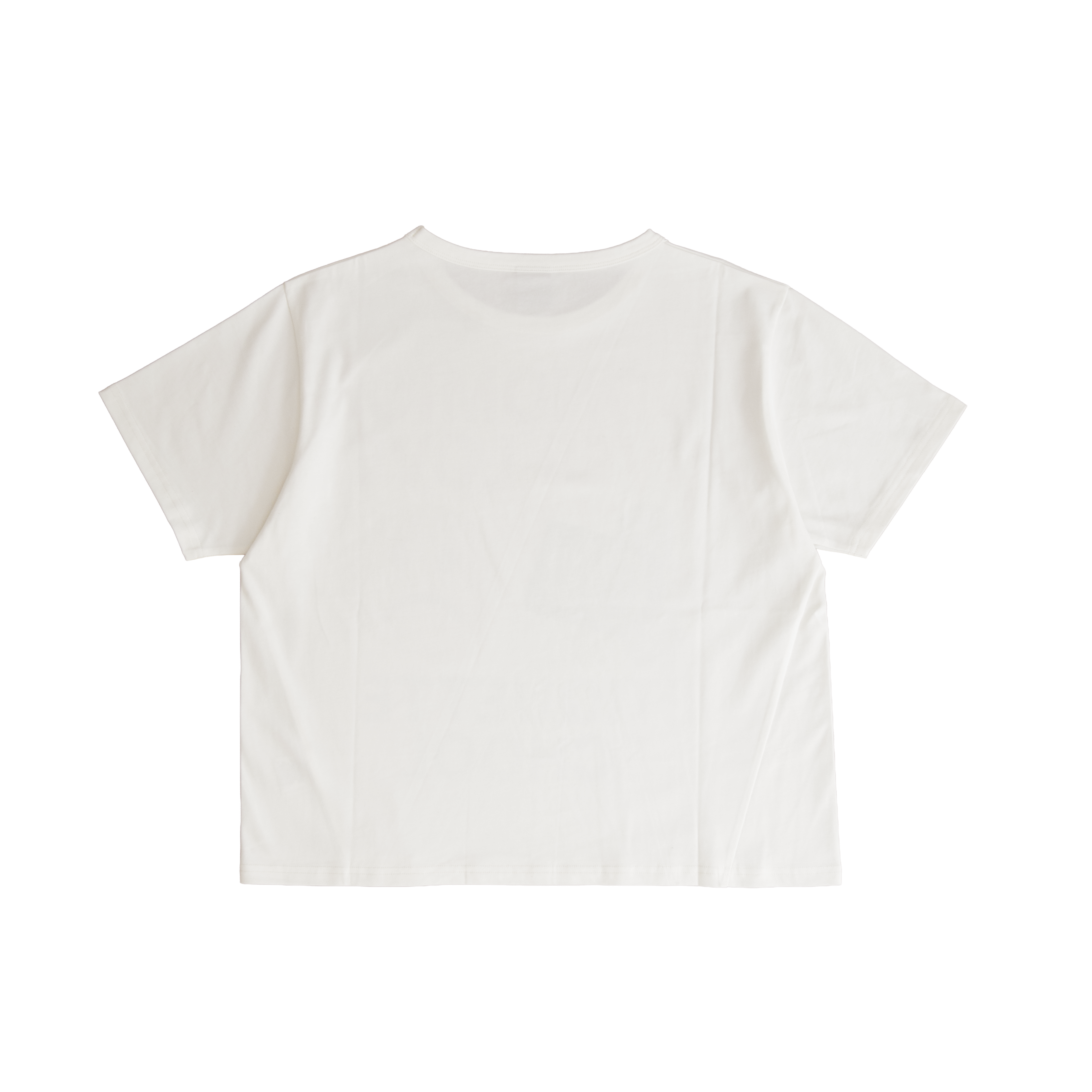 EOL cream cropped T-shirt – plain back view